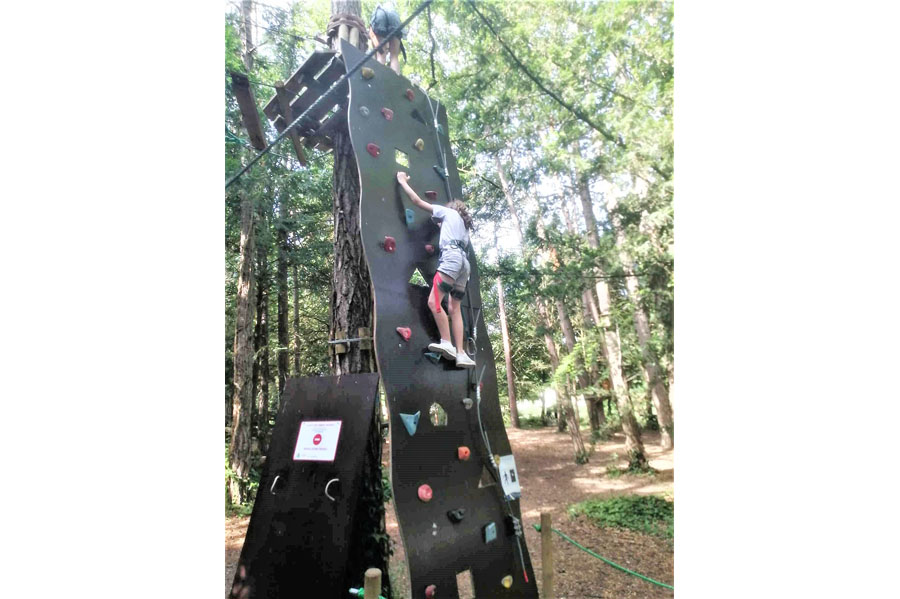 L'accrobranche - L'escalade