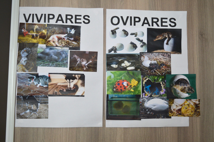 Questionner le monde