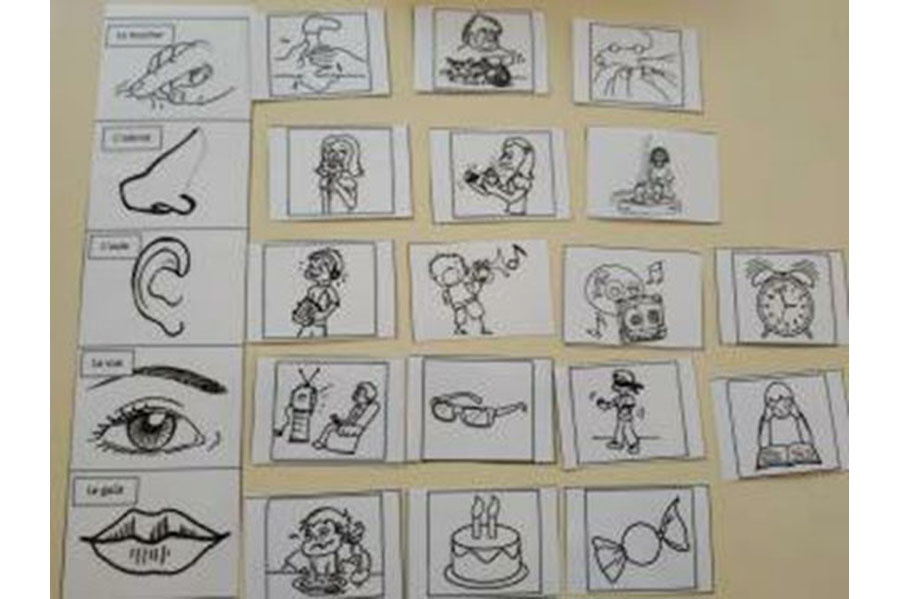 Le goût et les 5 sens