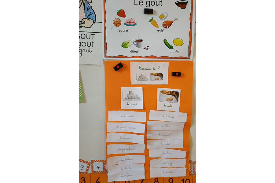 Le goût et les 5 sens