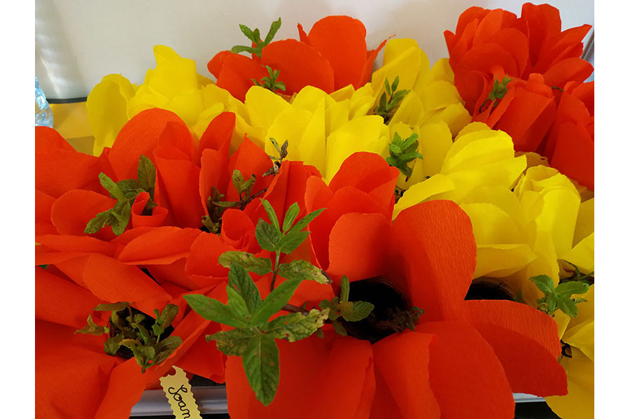 L’odorat avec le loto des odeurs, et l’atelier plantation des herbes aromatiques pour la fête des mères