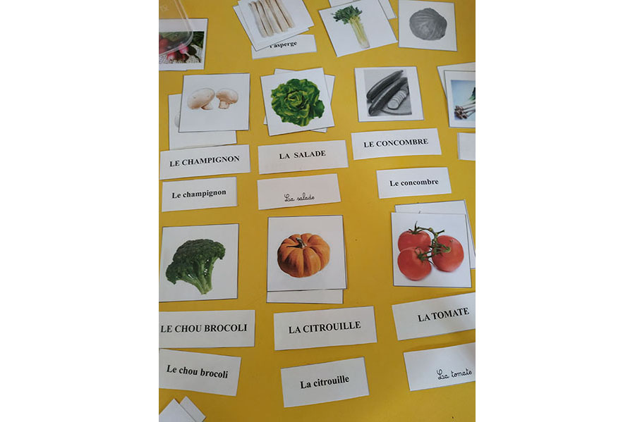 La reconnaissance des différentes écritures