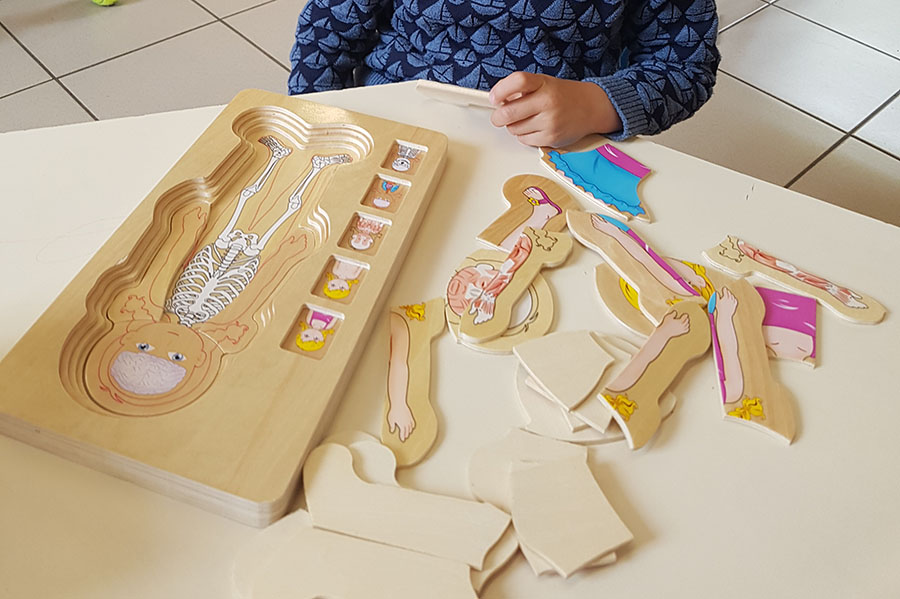 Travailler le corps humain