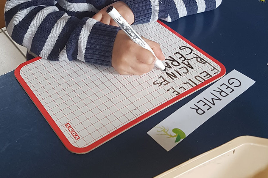 Utiliser les chiffres rugueux (lettres rugueuses) pour assimiler le geste. Ecrire des mots