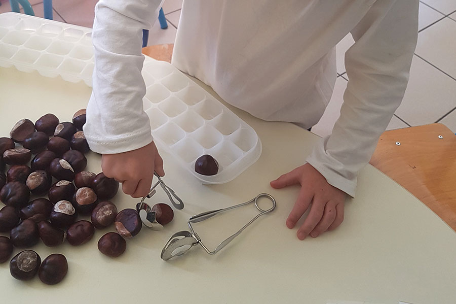 LES ATELIERS DE TYPE MONTESSORI